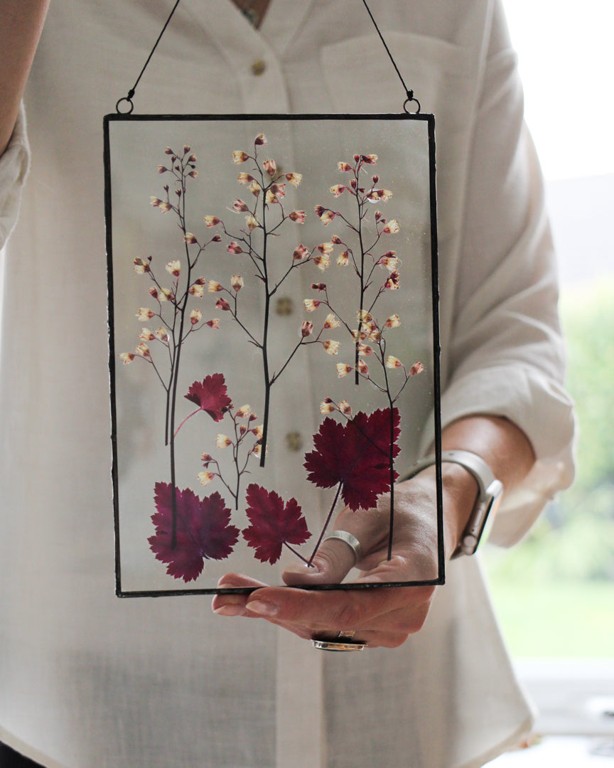 Botanical frame - Pressed Heuchera