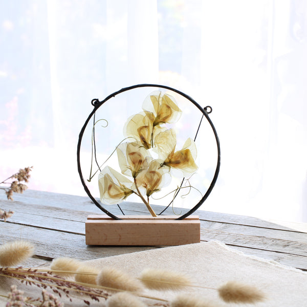 Sweet pea pressed flower stained glass wall art