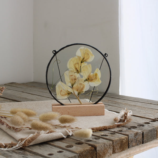 Sweet pea pressed flower stained glass wall art